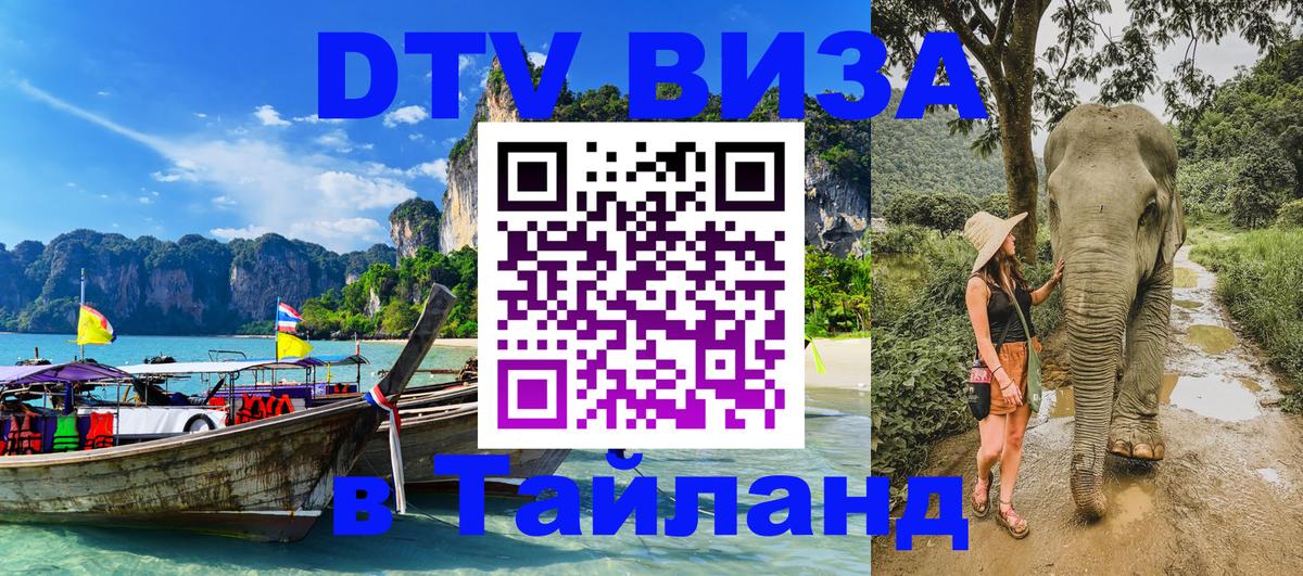 Оформление DTV визы под ключ: стоимость и тарифы, только загранпаспорт - Мурманск 
